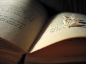 open book